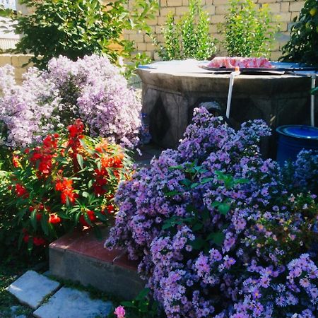 Bed and Breakfast House On Ashiq Cuma Street 8 Şǝki Zewnętrze zdjęcie