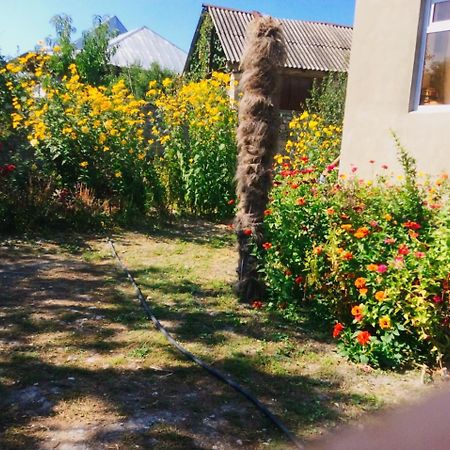 Bed and Breakfast House On Ashiq Cuma Street 8 Şǝki Zewnętrze zdjęcie