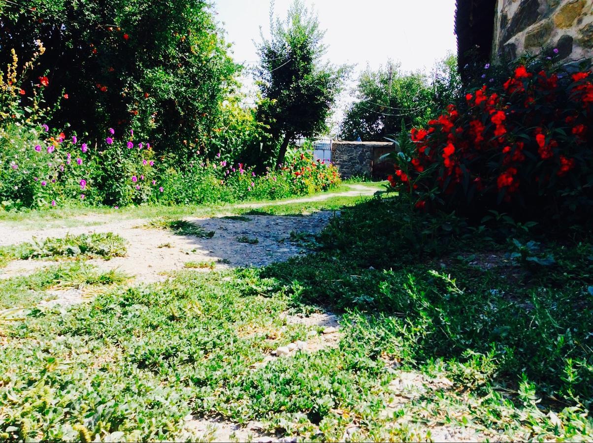 Bed and Breakfast House On Ashiq Cuma Street 8 Şǝki Zewnętrze zdjęcie