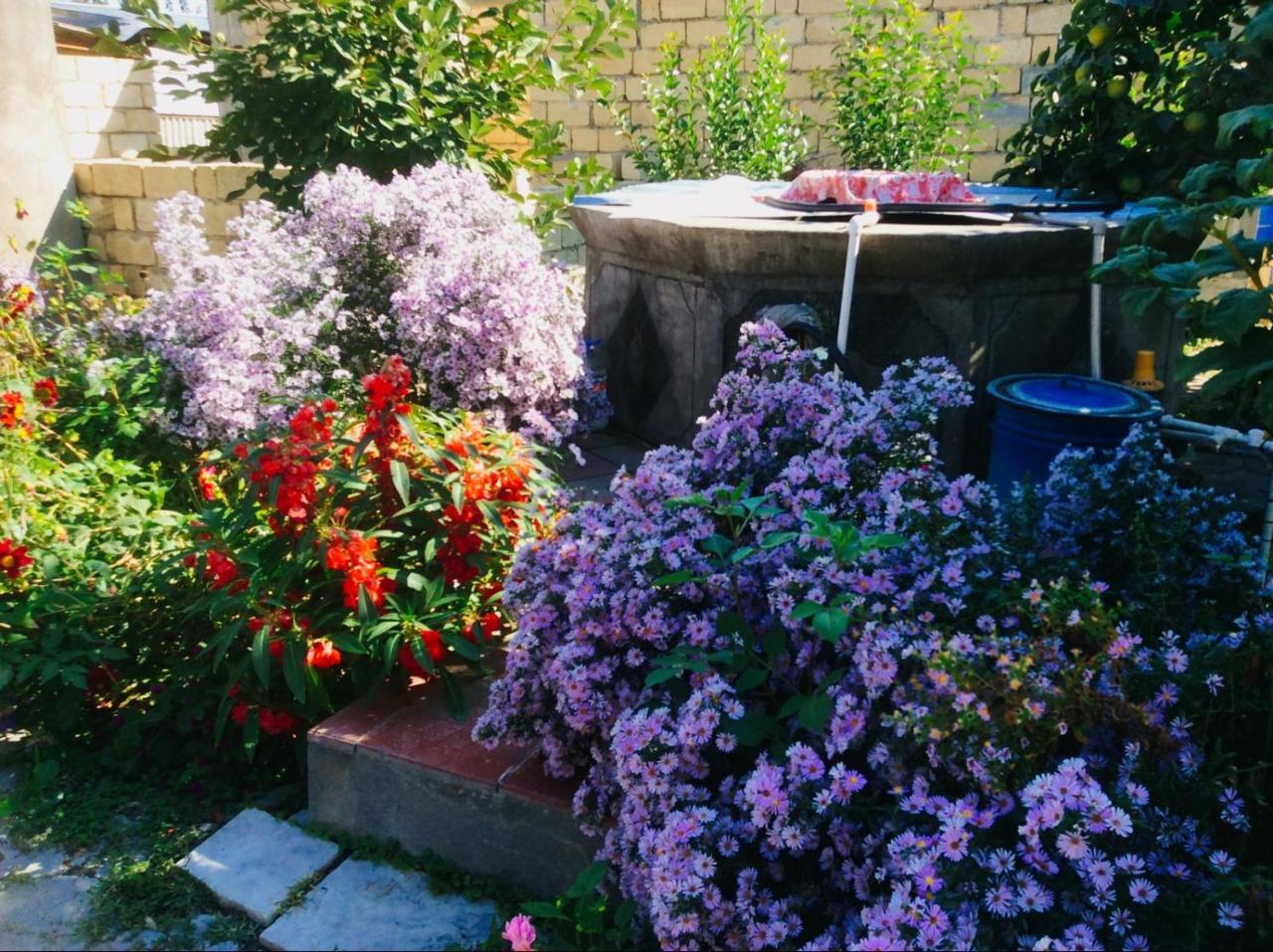Bed and Breakfast House On Ashiq Cuma Street 8 Şǝki Zewnętrze zdjęcie