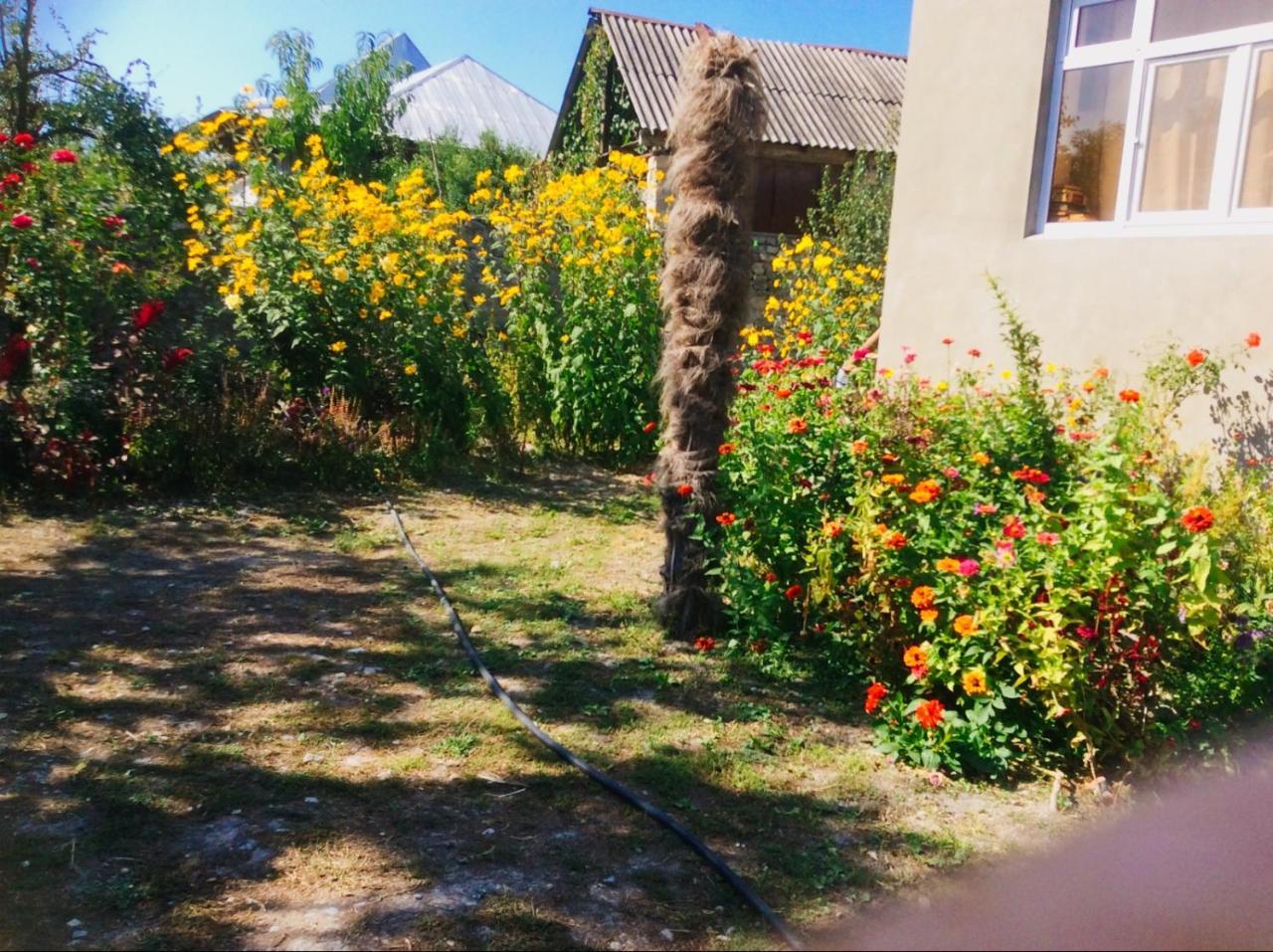 Bed and Breakfast House On Ashiq Cuma Street 8 Şǝki Zewnętrze zdjęcie