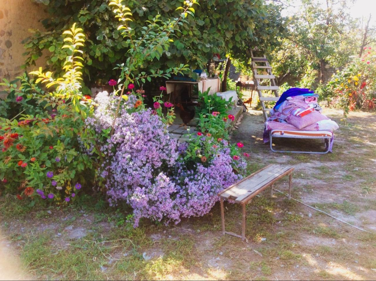 Bed and Breakfast House On Ashiq Cuma Street 8 Şǝki Zewnętrze zdjęcie