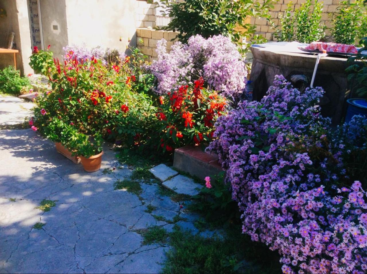 Bed and Breakfast House On Ashiq Cuma Street 8 Şǝki Zewnętrze zdjęcie